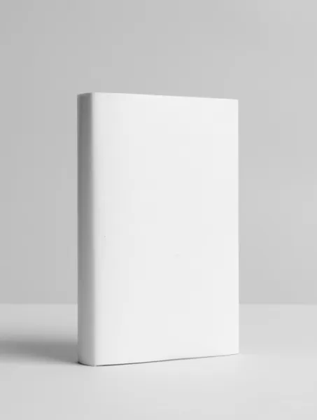 livre blanc visuel