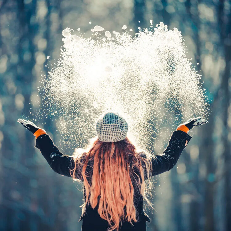 survey winter