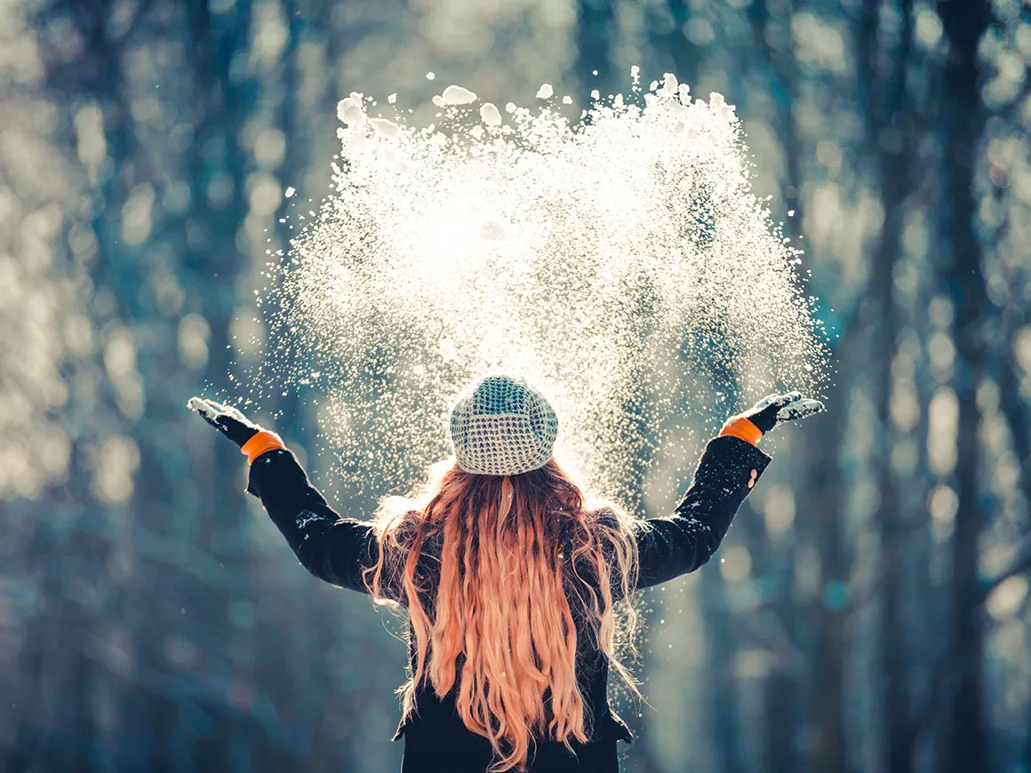 survey winter